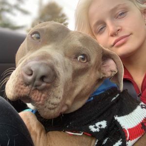 Meet your Posher, Sammy